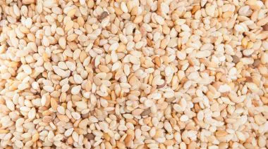 garnishing-instructions-image